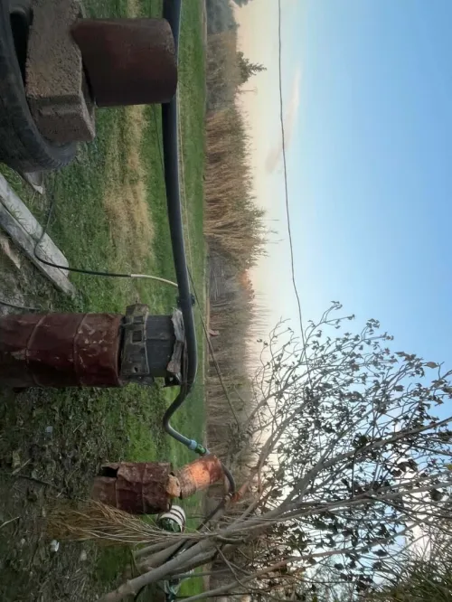 Vente Terrain Agricole Tiaret Ksar chellala