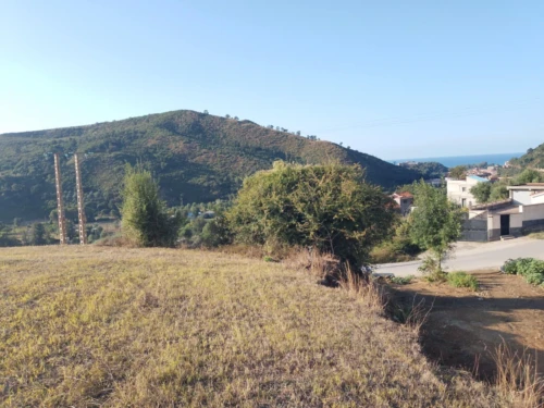 Vente Terrain Béjaïa Aokas