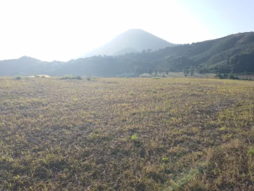 Vente Terrain Béjaïa Aokas