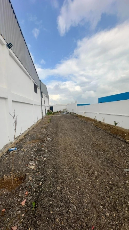 Location Hangar - Usine Blida Beni tamou
