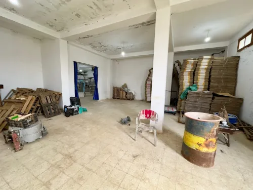 Location Local Tipaza Douaouda