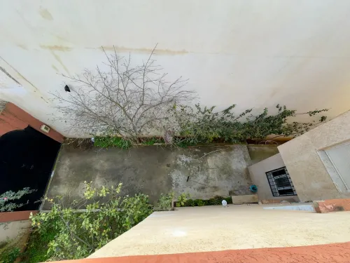 Location Villa Alger Bouzareah