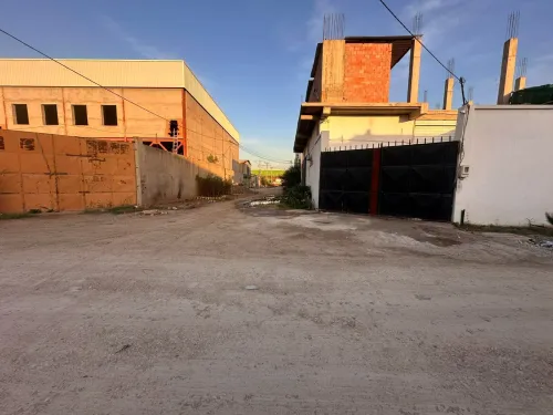 Vente Terrain Blida Bouinan