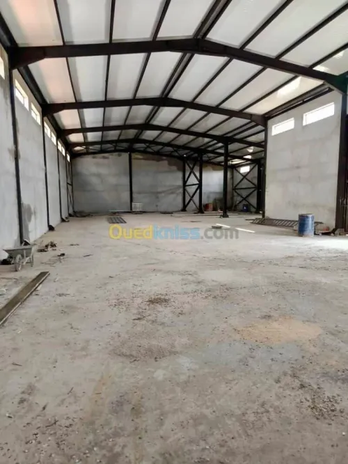 Location Hangar - Usine Tipaza Kolea