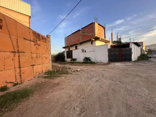 Vente Terrain Blida Bouinan