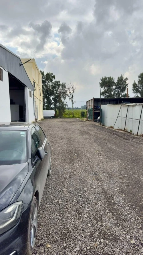 Location Hangar - Usine Blida Beni tamou
