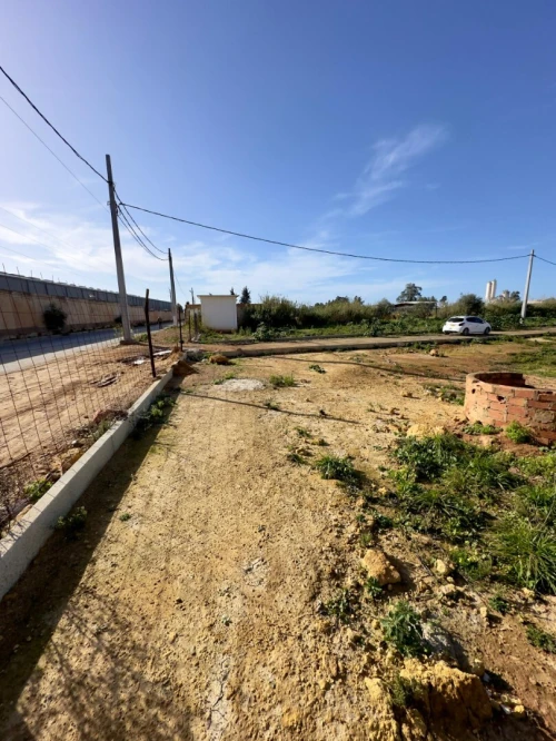 Vente Terrain Tipaza Bou ismail