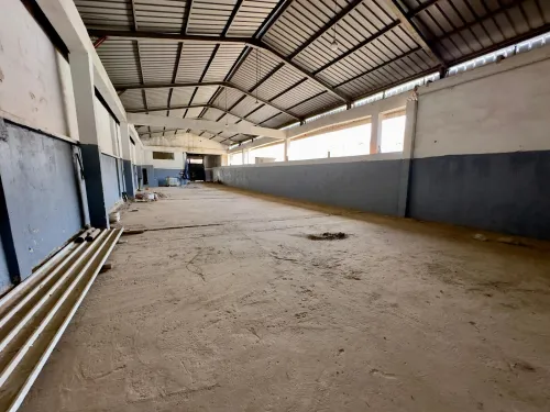 Location Hangar - Usine Blida Beni tamou