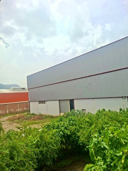 Location Hangar - Usine Blida Chiffa