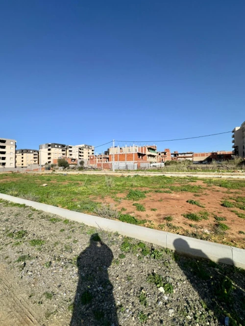 Vente Terrain Tipaza Bou ismail