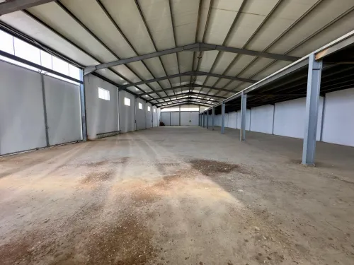 Location Hangar - Usine Alger Tessala el merdja