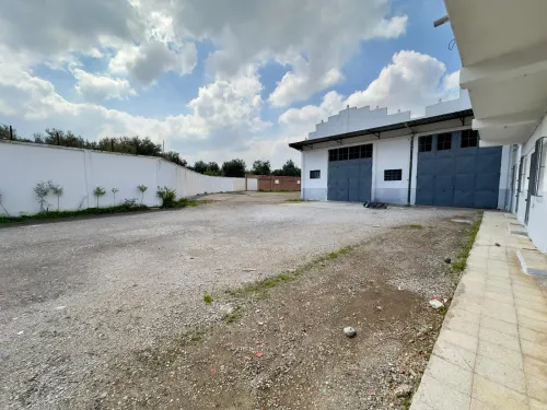 Location Hangar - Usine Blida Guerrouaou