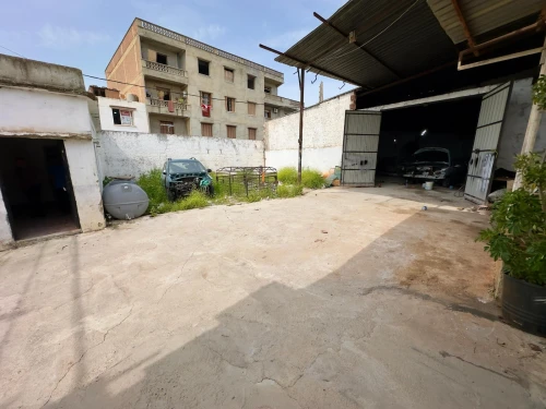 Location Hangar - Usine Alger Rahmania