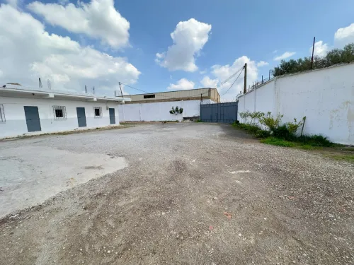 Location Hangar - Usine Blida Guerrouaou