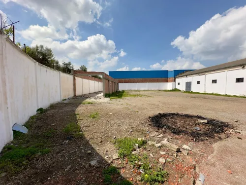 Location Hangar - Usine Blida Guerrouaou