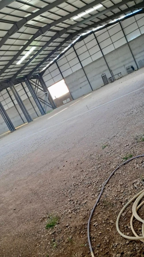 Location Hangar - Usine Blida Beni mered