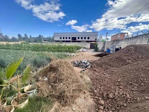 Vente Terrain Blida Bouinan