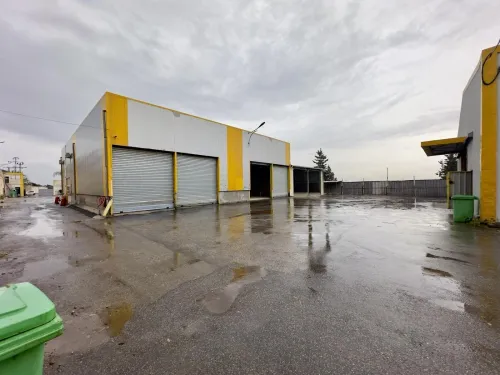 Vente Hangar - Usine Tipaza Kolea