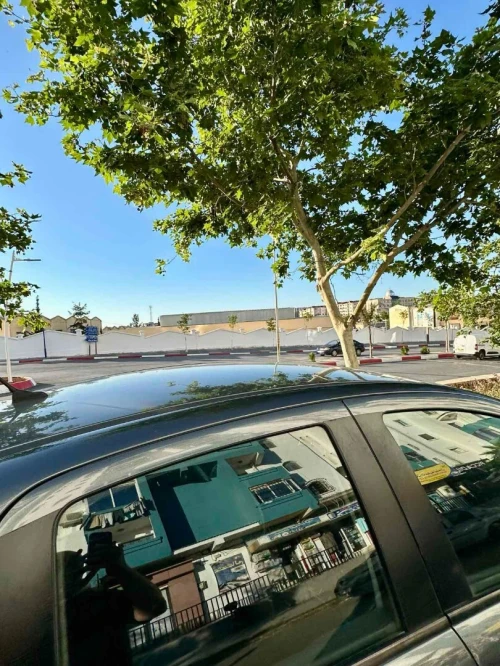 Vente Appartement F3 Tipaza Tipaza