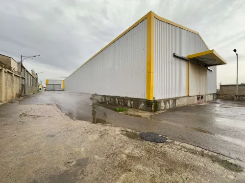 Vente Hangar - Usine Tipaza Kolea