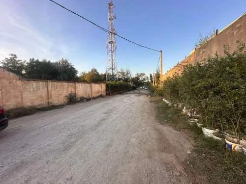 Vente Terrain Blida Bouinan