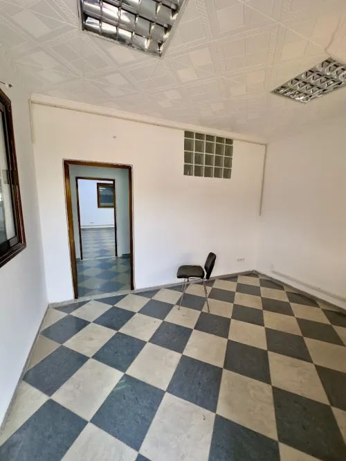 Location Hangar - Usine Blida Blida