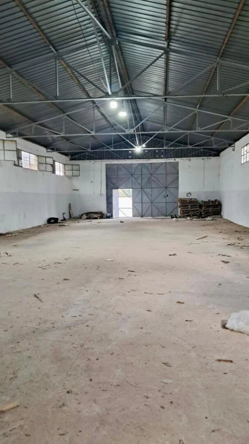 Location Hangar - Usine Blida Beni tamou