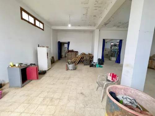 Location Local Tipaza Douaouda