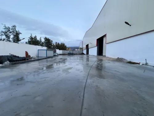 Location Hangar - Usine Blida Boufarik