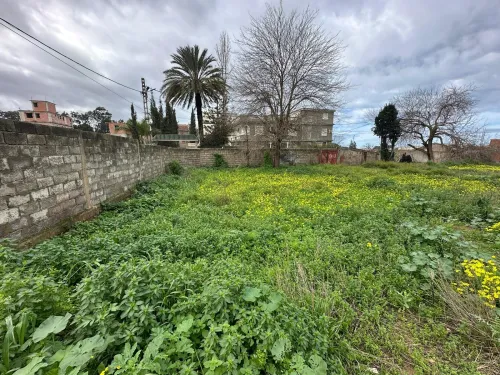 Vente Terrain Alger Cheraga