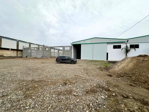 Location Hangar - Usine Blida Beni tamou