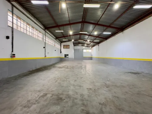Location Hangar - Usine Blida Blida