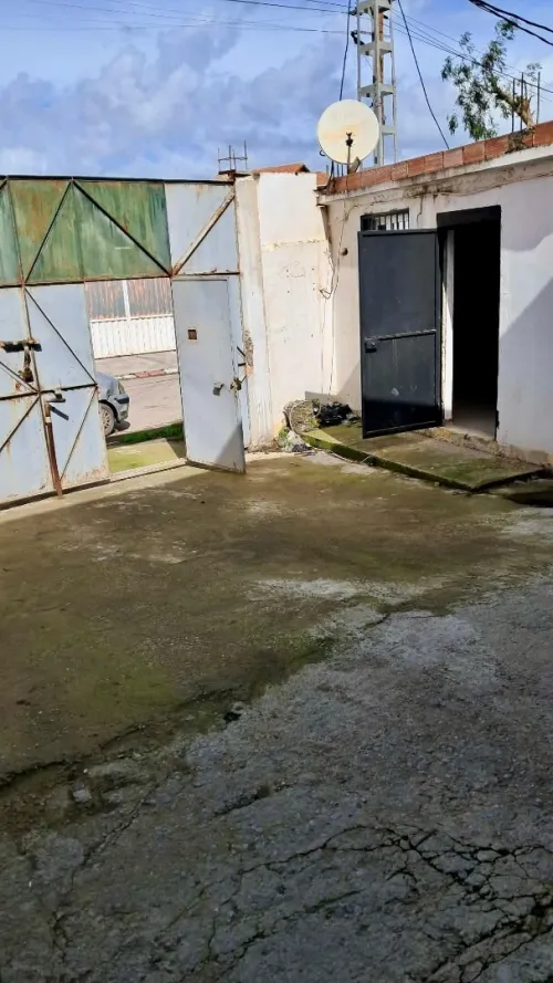 Location Hangar - Usine Blida Beni tamou