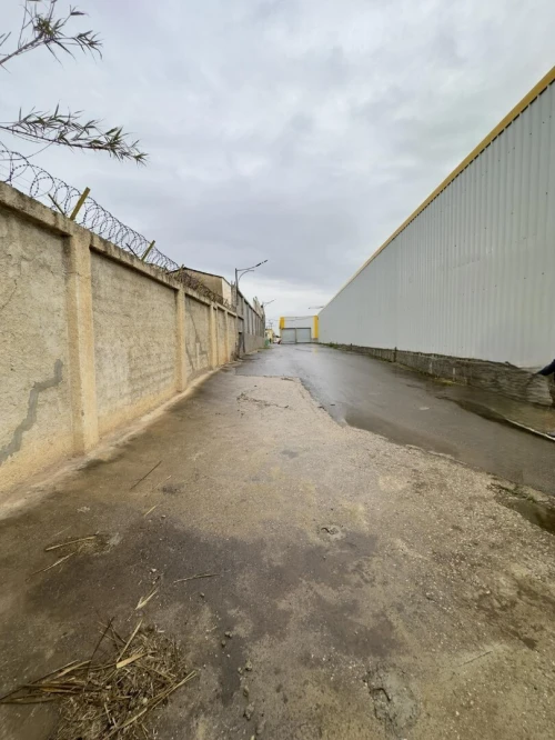 Vente Hangar - Usine Tipaza Kolea