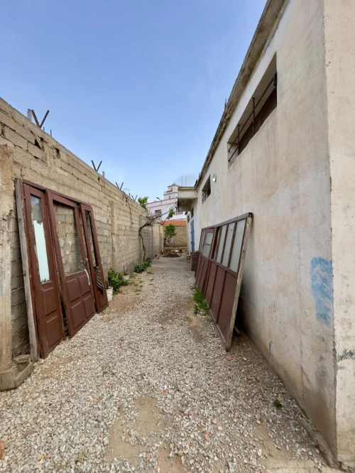 Location Local Tipaza Douaouda