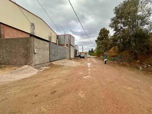 Location Hangar - Usine Blida Meftah