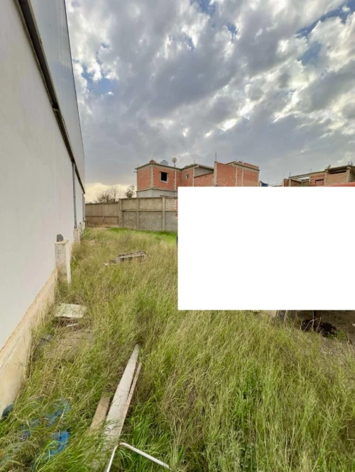 Location Hangar - Usine Blida Ouled el alleug