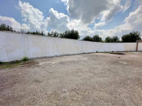 Location Hangar - Usine Blida Guerrouaou