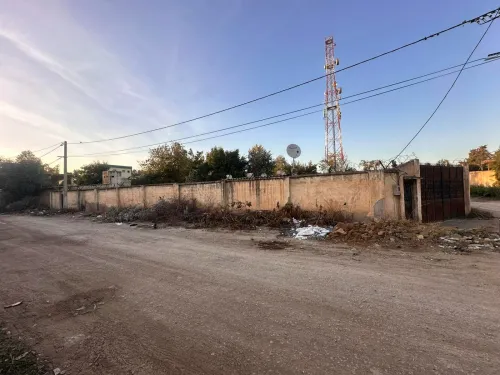 Vente Terrain Blida Bouinan