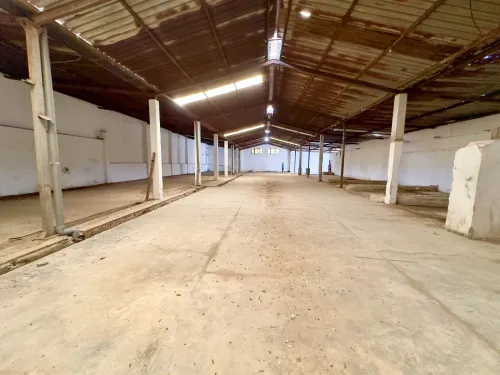Location Hangar - Usine Alger Rahmania