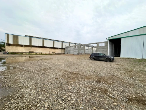Location Hangar - Usine Blida Beni tamou