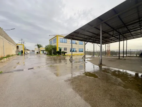 Vente Hangar - Usine Tipaza Kolea