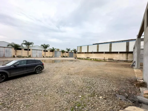 Location Hangar - Usine Blida Beni tamou