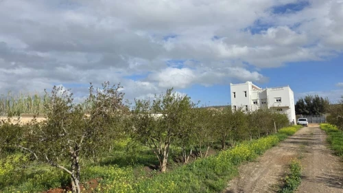 Vente Terrain Agricole Mostaganem Sirat