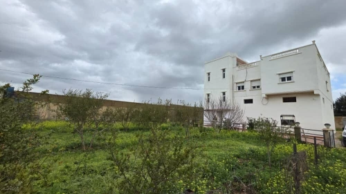 Vente Terrain Agricole Mostaganem El hassiane
