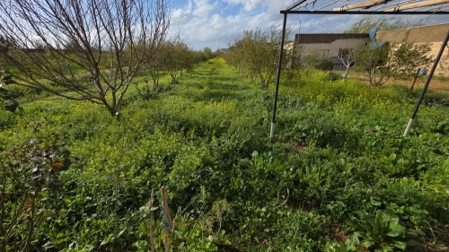 Vente Terrain Agricole Mostaganem Sirat