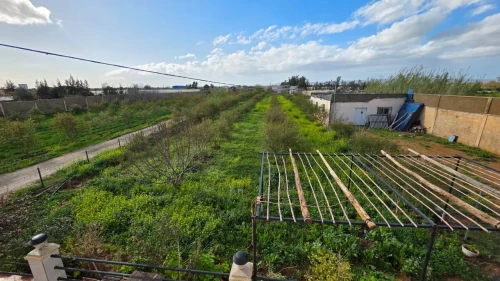 Vente Terrain Agricole Mostaganem Sirat