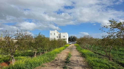 Vente Terrain Agricole Mostaganem El hassiane