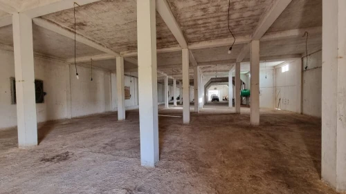 Vente Terrain Agricole Mostaganem Sirat