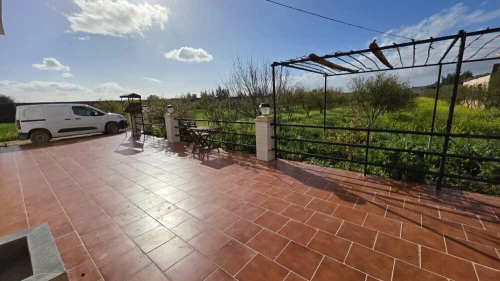 Vente Terrain Agricole Mostaganem El hassiane